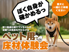ペット用床材体験会【猫壁（にやんぺき）の展示もあるよ】のメイン画像