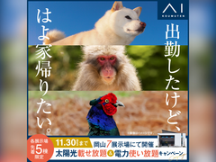 岡山南展示場　太陽光載せ放題＆電力使い放題キャンペーン　来場予約のメイン画像