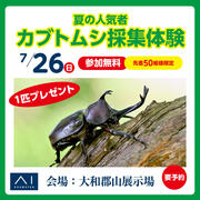 大和郡山展示場　カブトムシジャングルのメイン画像