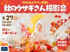 アイパーク津山（複合型住宅展示場）　プロカメラマンが撮る♡ウサギさん撮影会のメイン画像