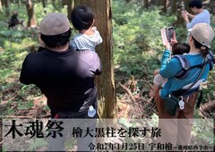 檜の山で家族の思い出を作る伐採体験のメイン画像