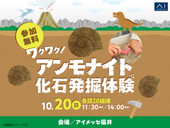 アイメッセ福井（複合型住宅展示場）　ワクワク！アンモナイト化石発掘体験のメイン画像
