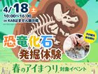 KABはません展示場　恐竜化石発掘体験！のメイン画像
