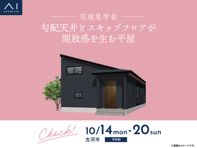 《古河市》勾配天井とスキップフロアが開放感を生む平屋　完成見学会のメイン画像