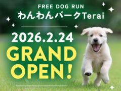 わんわんパークTerai 予約フォームのメイン画像