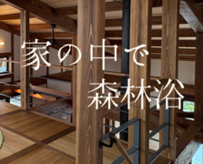 家の中で森林浴、してみませんか？のメイン画像