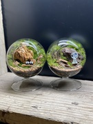 名張展示場　～親子でつくろう～ 苔テラリウムワークショップのメイン画像
