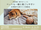 【愛媛新居浜店】”ペットも一緒に過ごしやすい”を実現する家づくり相談会のメイン画像