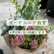 【宮古市】ガーデニング(寄せ植え)教室のメイン画像