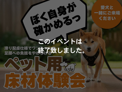 ペット用床材体験会【猫壁（にやんぺき）の展示もあるよ】のメイン画像