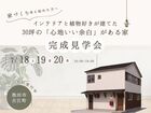 【池田市古江町】インテリアと植物好きが建てた30坪の「心地いい余白」がある家 完成見学会のメイン画像
