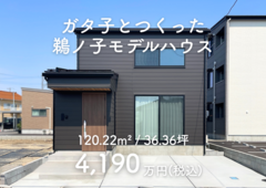 ガタ子の妄想家づくり×＆Create／ガタ子とつくったモデルハウス！｜新潟市江南区鵜ノ子のメイン画像