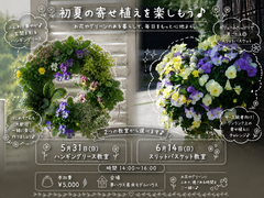新緑の季節に飾る❁寄せ植えworkshopのメイン画像