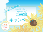 ＊ご来場キャンペーン＊アマギフ１万円プレゼント🎁！のメイン画像