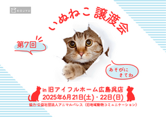 第7回🐾犬猫譲渡会開催！🐶🐱のメイン画像