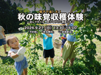 後悔しないための　賢い家づくり勉強会のメイン画像