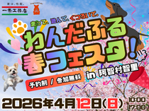 わんだふる春フェスタのメイン画像