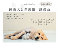 保護犬・保護猫譲渡会【しっぽハウス】のメイン画像