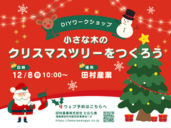 【田村市船引町】小さな木のクリスマスツリーをつくろう！DIYワークショップ！のメイン画像