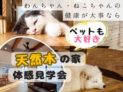 ペットも大好き "天然木" の家 体感見学会のメイン画像