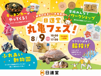 【丸亀市田村町】丸亀フェス 開催！のメイン画像