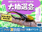 TNC久留米展示場　世界の珍しいカブトムシ・クワガタをお家に迎えよう！大抽選会のメイン画像