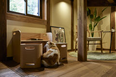 ペットもほっこり。あたたかい木の家見学会。のメイン画像