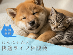 わんにゃんと快適ライフ相談会のメイン画像