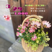 【予約制 各回限定5組】寄せ植えワークショップのメイン画像