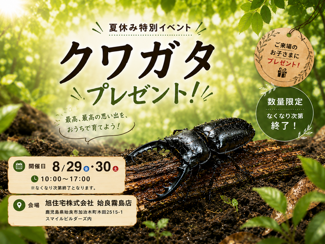 クワガタ　プレゼントイベントのメイン画像