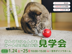 わんこもにゃんこもみんな快適なお家　見学会のメイン画像