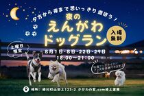 【8月の土曜日限定】夜のえんがわドッグランのメイン画像