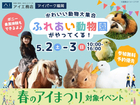 アイパーク福岡（複合型住宅展示場）　かわいい動物大集合🐤ふれあい動物園がやってくる！のメイン画像