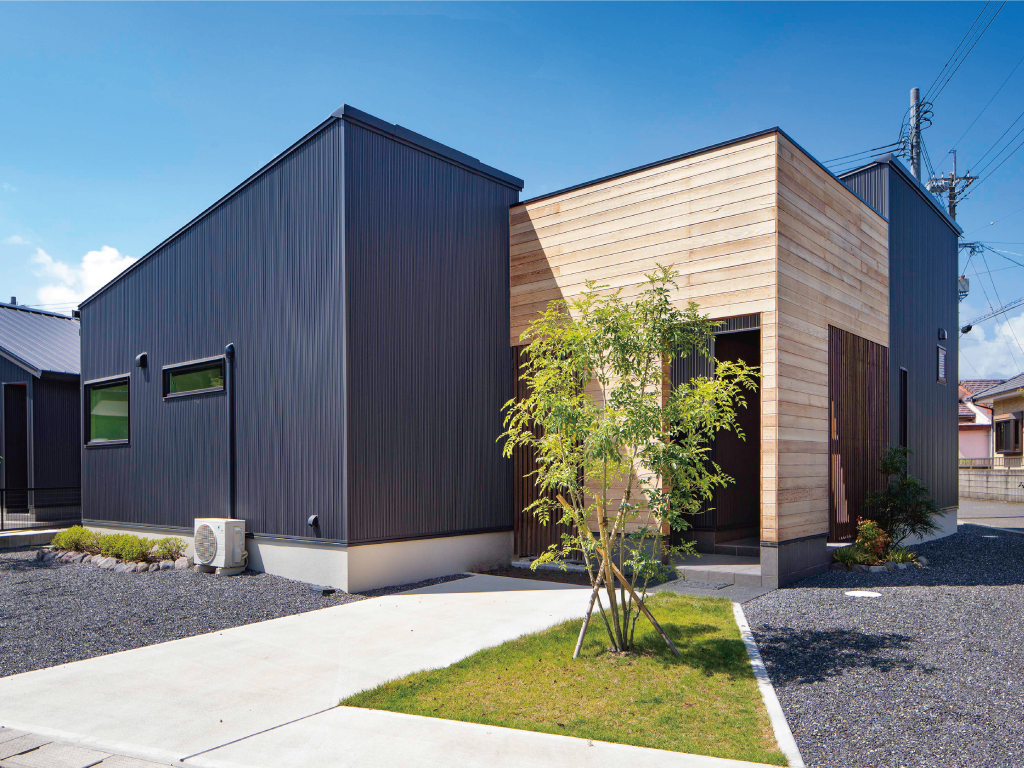 （鹿児島県産）ｔａｍ① ハウス タンカン　いちき串木野市産 鹿児島県産）ハウス栽培 タンカンSサイズ いちき串木野市産 - メルカリ