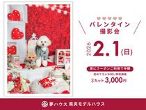 かわいいを残そう♡「うちの子バレンタイン撮影会」のメイン画像