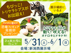 新潟西展示場 トリケラトプスがやってくる！のメイン画像