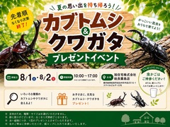 カブトムシ＆クワガタ　プレゼントイベントのメイン画像