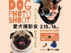 【南大阪店】愛犬撮影会inドッグカフェのメイン画像