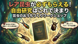 西白河郡中島村 9/18・19・20 平屋の家 完成見学会のメイン画像