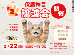 🐱保護猫譲渡会＆ねこグッズマルシェ開催【2月22日・参加無料】のメイン画像