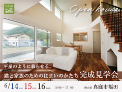 《真庭市 完成見学会》平屋のように暮らせる、猫と家族のための住まいのかたちのメイン画像