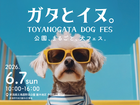 【ガタとイヌ。】TOYANOGATA DOG FESのメイン画像