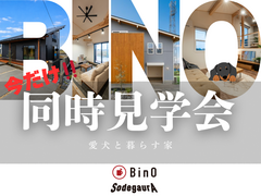 【アニマルBinO】今だけ！同時見学会開催!!リゾートドッグヴィレッジ木更津金田のメイン画像