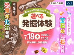 アイパーク福岡　選べる発掘体験🔨恐竜化石発掘or宝石の原石採掘体験のメイン画像