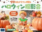 新居浜展示場　プロのカメラマンが撮る！秋のベビー撮影会のメイン画像
