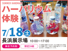 長浜展示場　ハーバリウム体験　来場予約のメイン画像