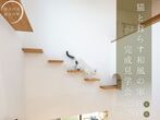 平屋＋ロフト約28坪の木の家完成見学会のメイン画像