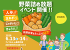 【2日間限定】野菜詰め放題★家づくり相談会のメイン画像