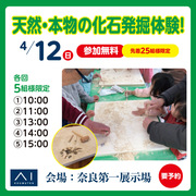 奈良第一展示場　化石発掘体験のメイン画像