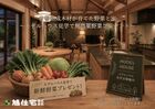 モデルハウス見学で無農薬やさいプレゼントのメイン画像